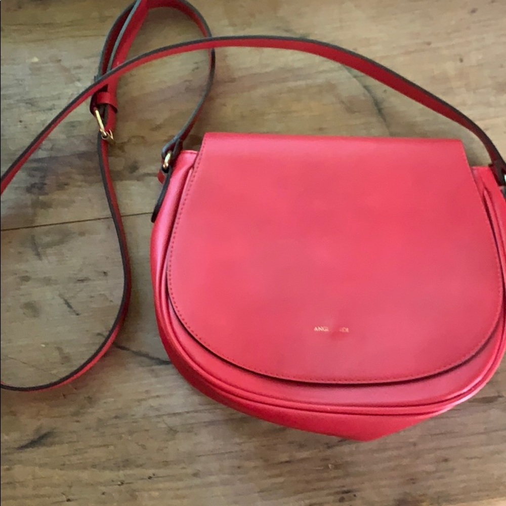 Angela Roi Vegan Purse